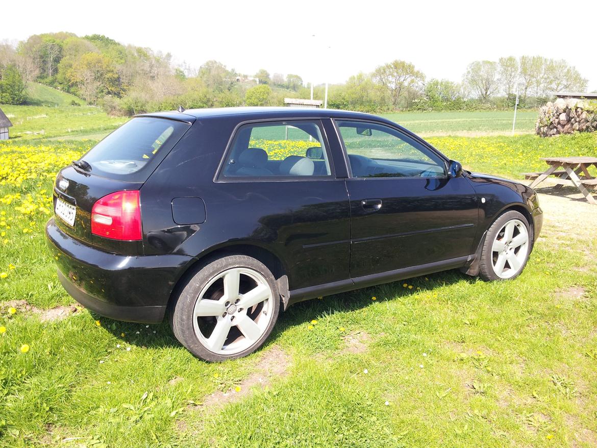 Audi A3 1,6 billede 11