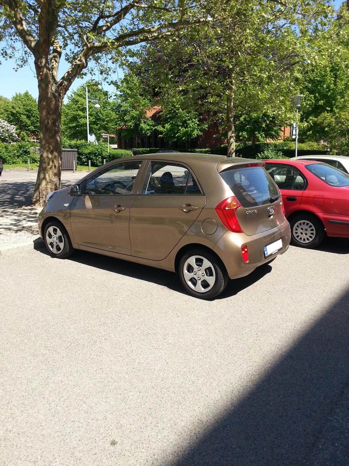 Kia Picanto Motion Plus billede 7