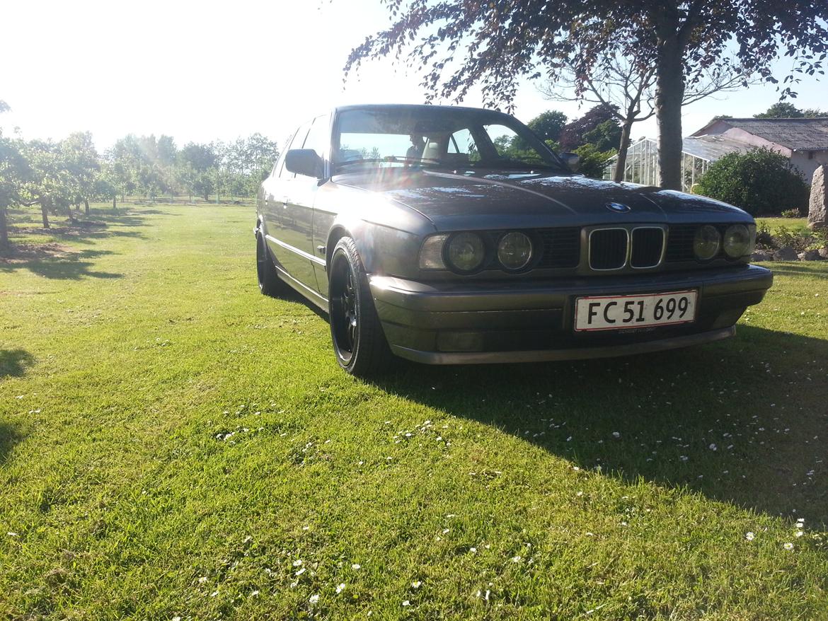 BMW e34 525/528 nye billeder billede 6