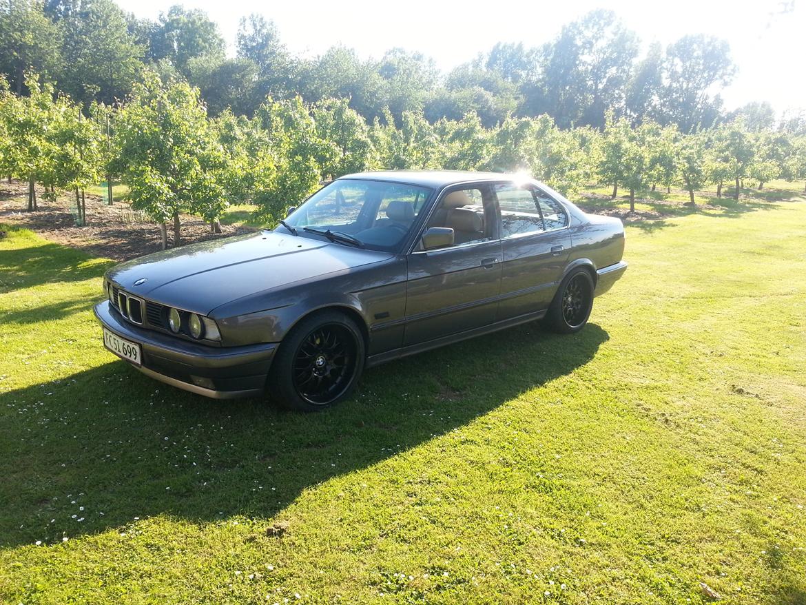 BMW e34 525/528 nye billeder billede 15