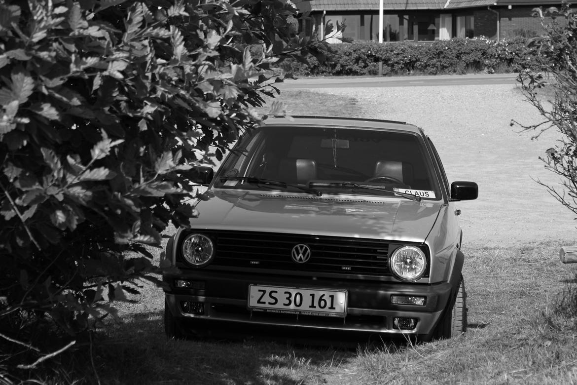 Volkswagen golf kat