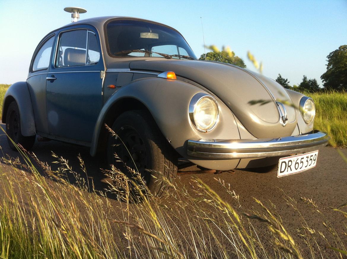 VW 1303 billede 7