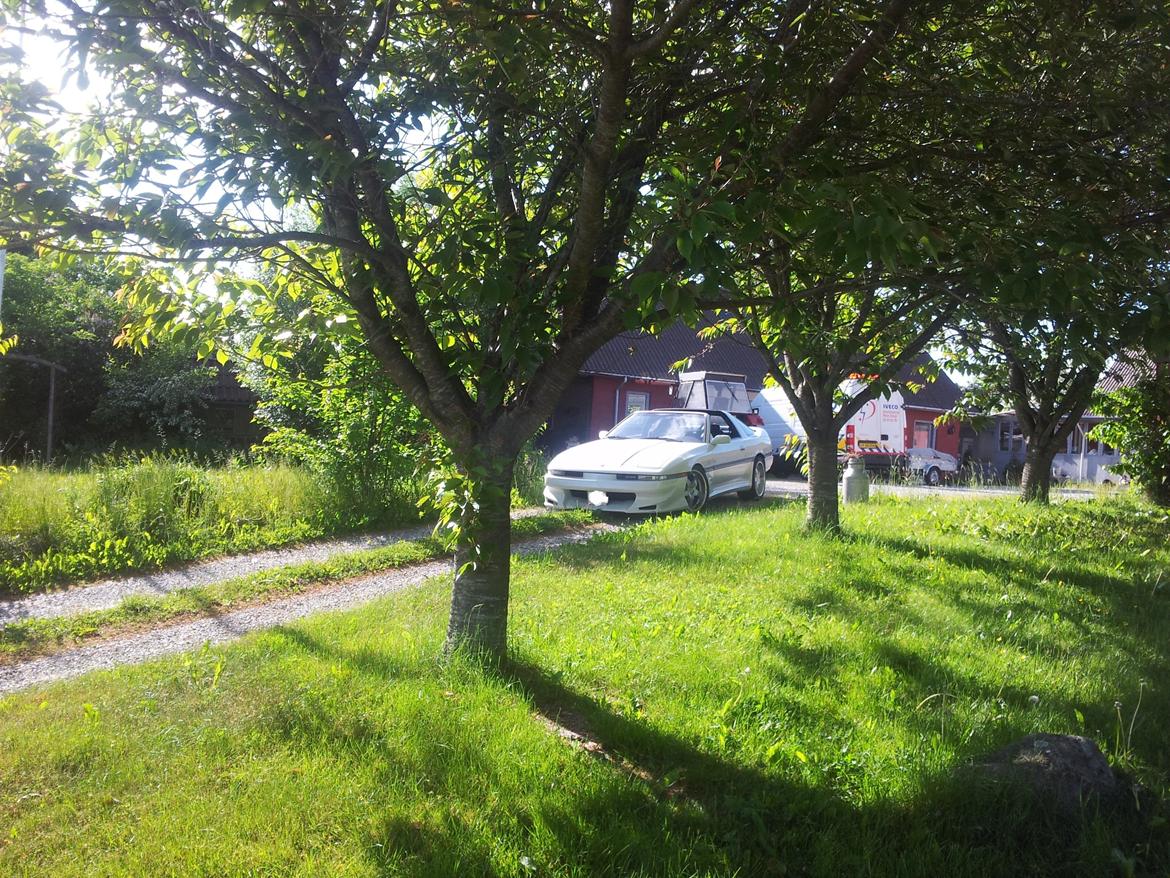 Toyota Supra Turbo Targa billede 12