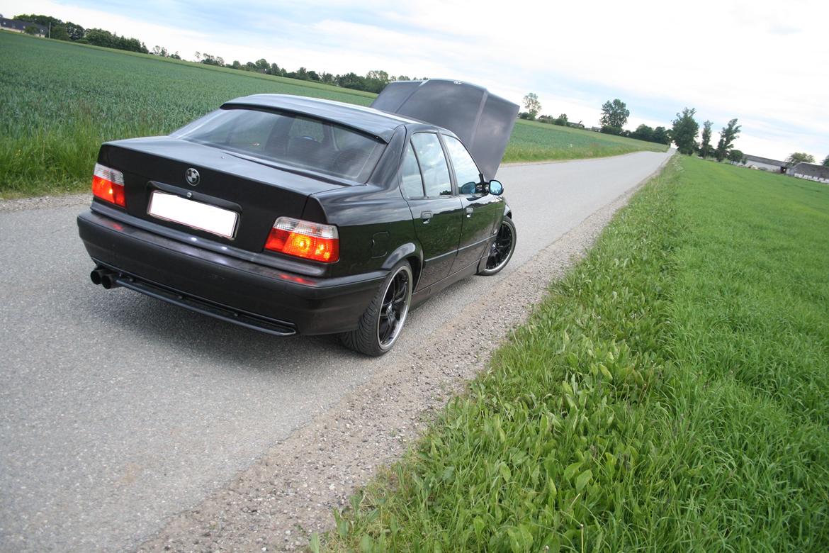 BMW E36 320i - 210.5 HK billede 19