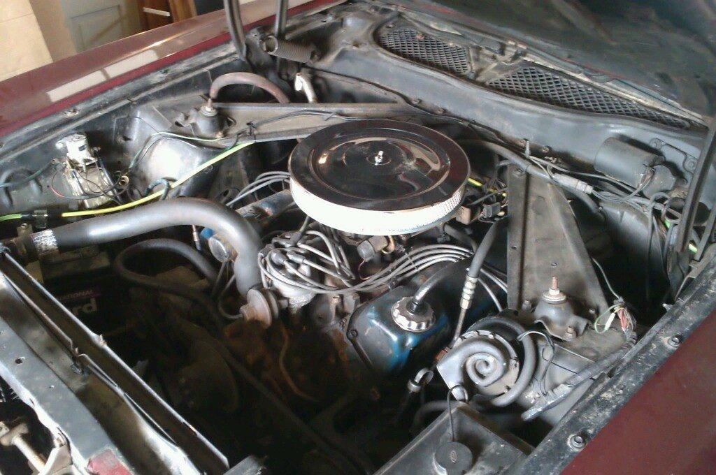 Mercury Cougar 5,8 V8 convertible billede 10