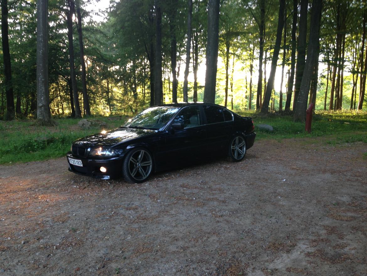 BMW E46 320i SOLGT billede 12