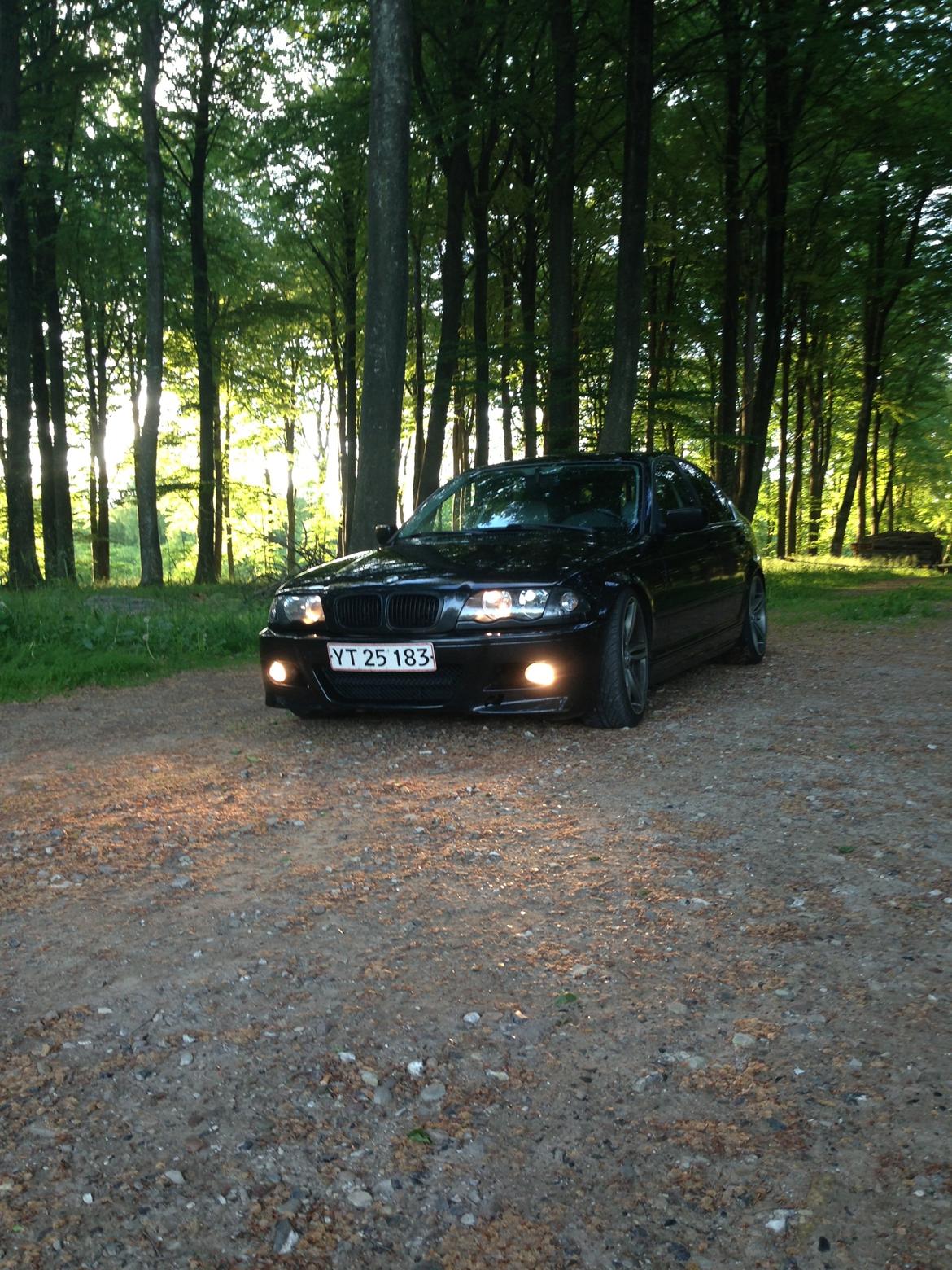 BMW E46 320i SOLGT billede 7