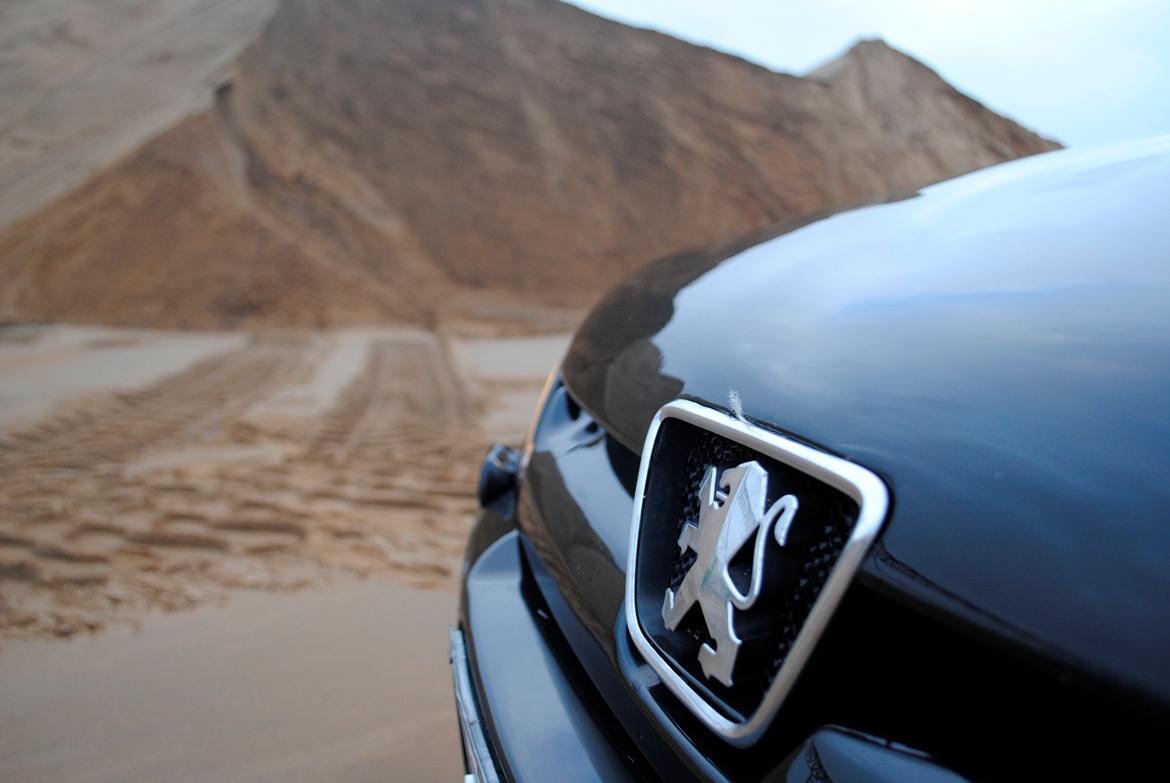 Peugeot 306 Xsi 2,0 16v billede 15