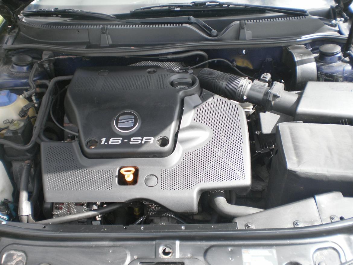 Seat Leon Stella billede 13