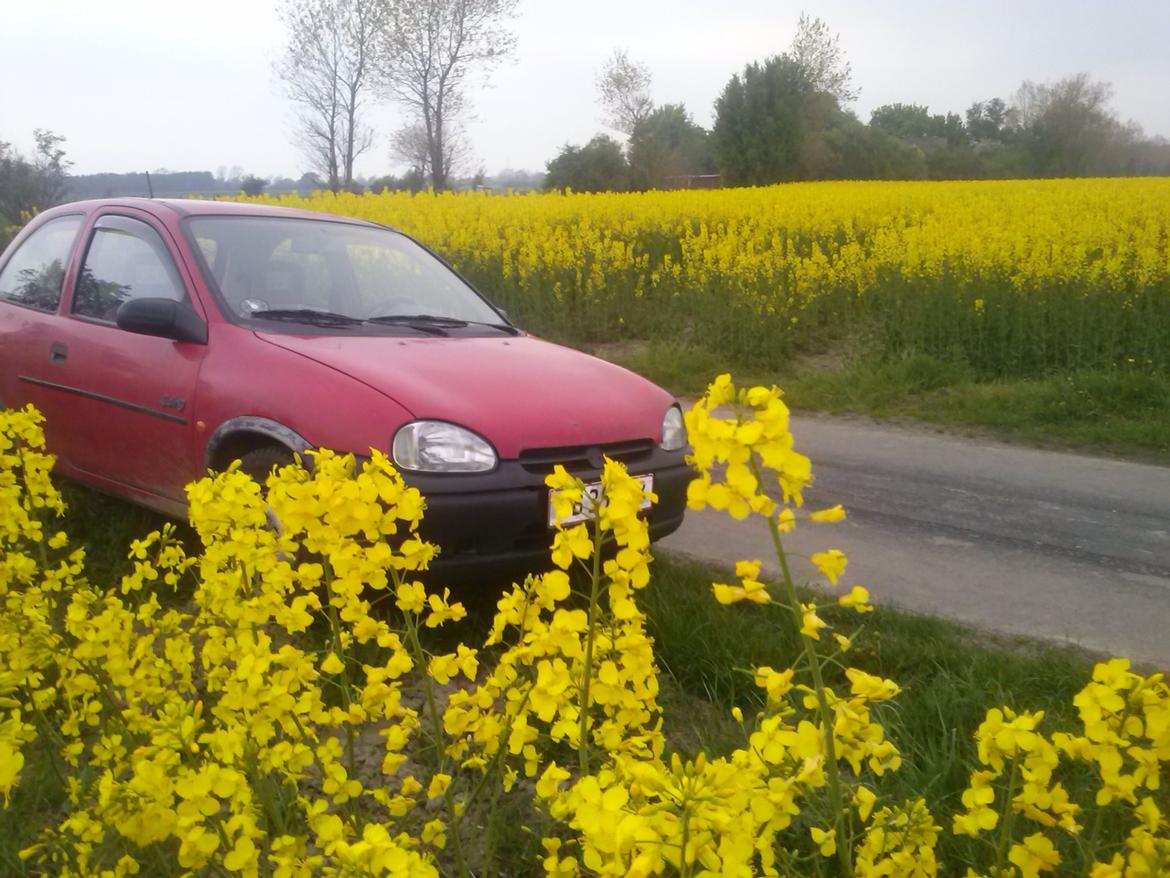 Opel corsa b 1.2i swing billede 9