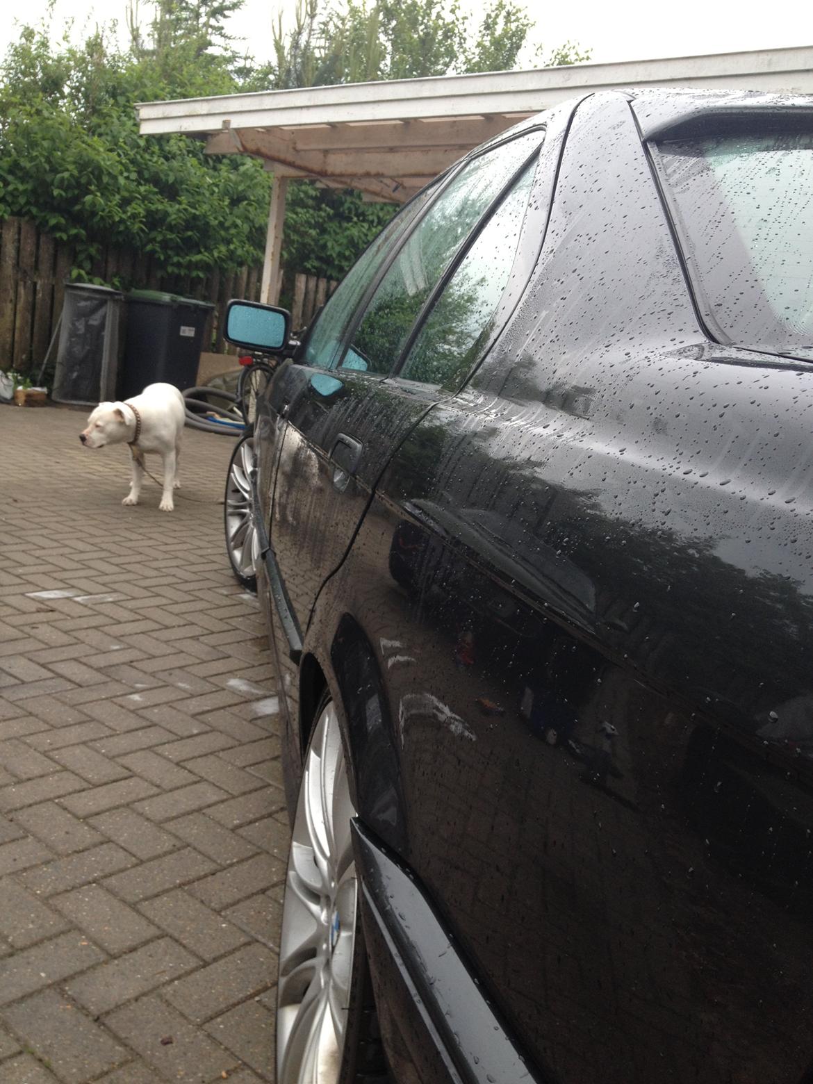 BMW 318i billede 15