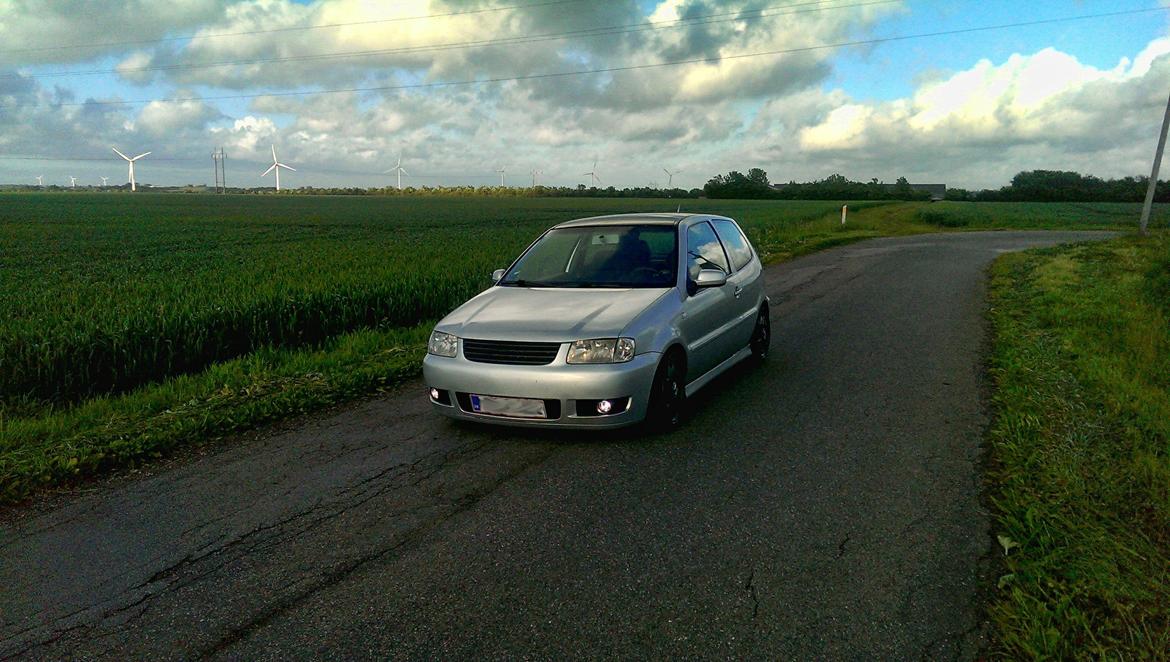 VW Polo 6N2 1,4 Tdi Highline billede 3