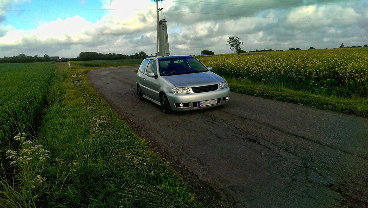 VW Polo 6N2 1,4 Tdi Highline billede 6