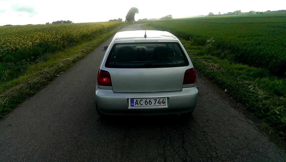 VW Polo 6N2 1,4 Tdi Highline billede 9