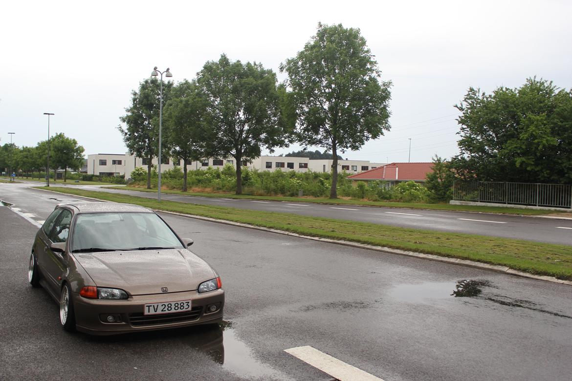 Honda Civic EG billede 4