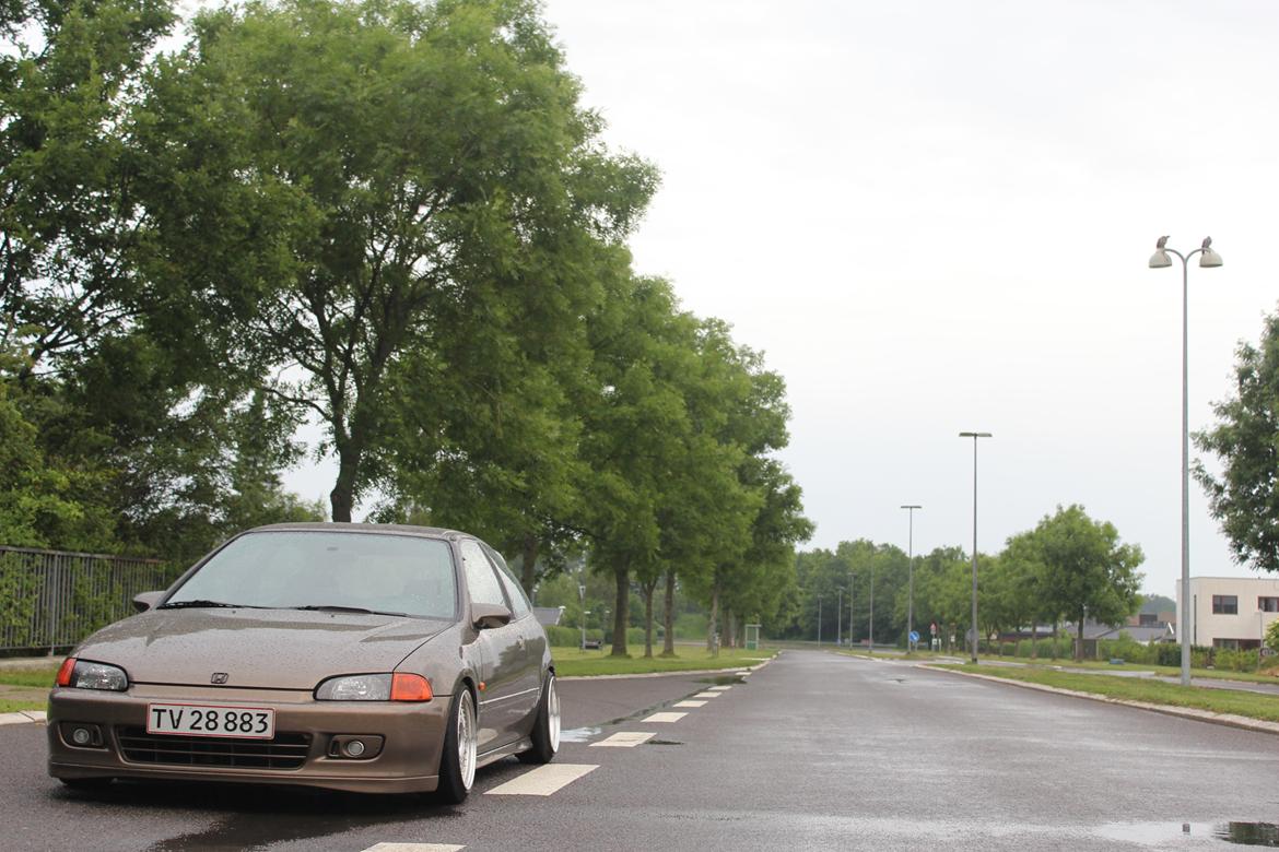 Honda Civic EG billede 17