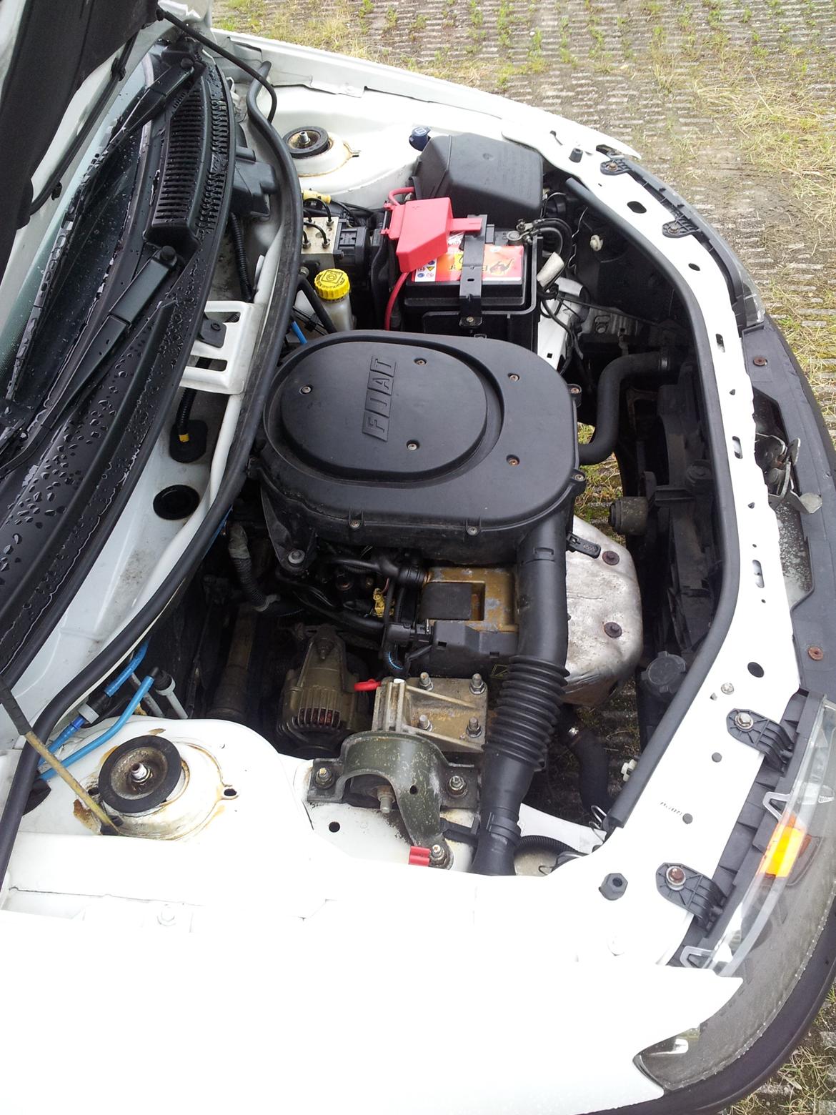 Fiat Punto 1,2 3D hatch billede 13