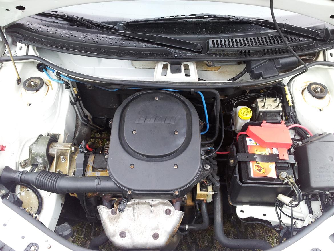 Fiat Punto 1,2 3D hatch billede 15