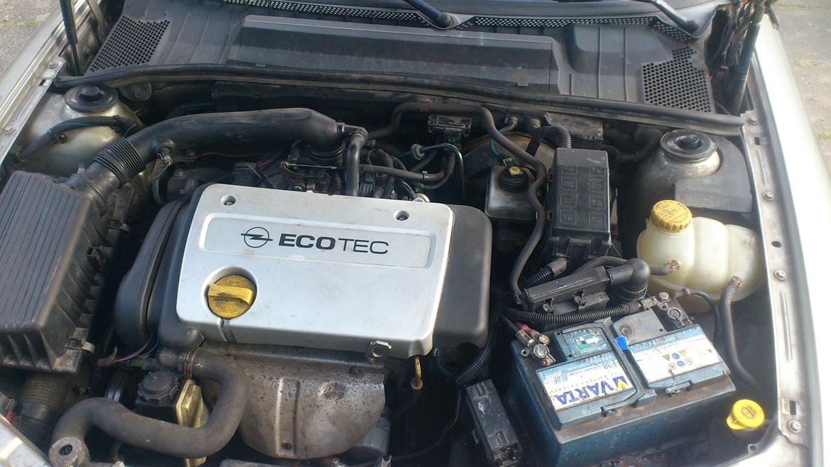 Opel Vectra B billede 19