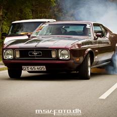 Ford Mustang "Nemesis"