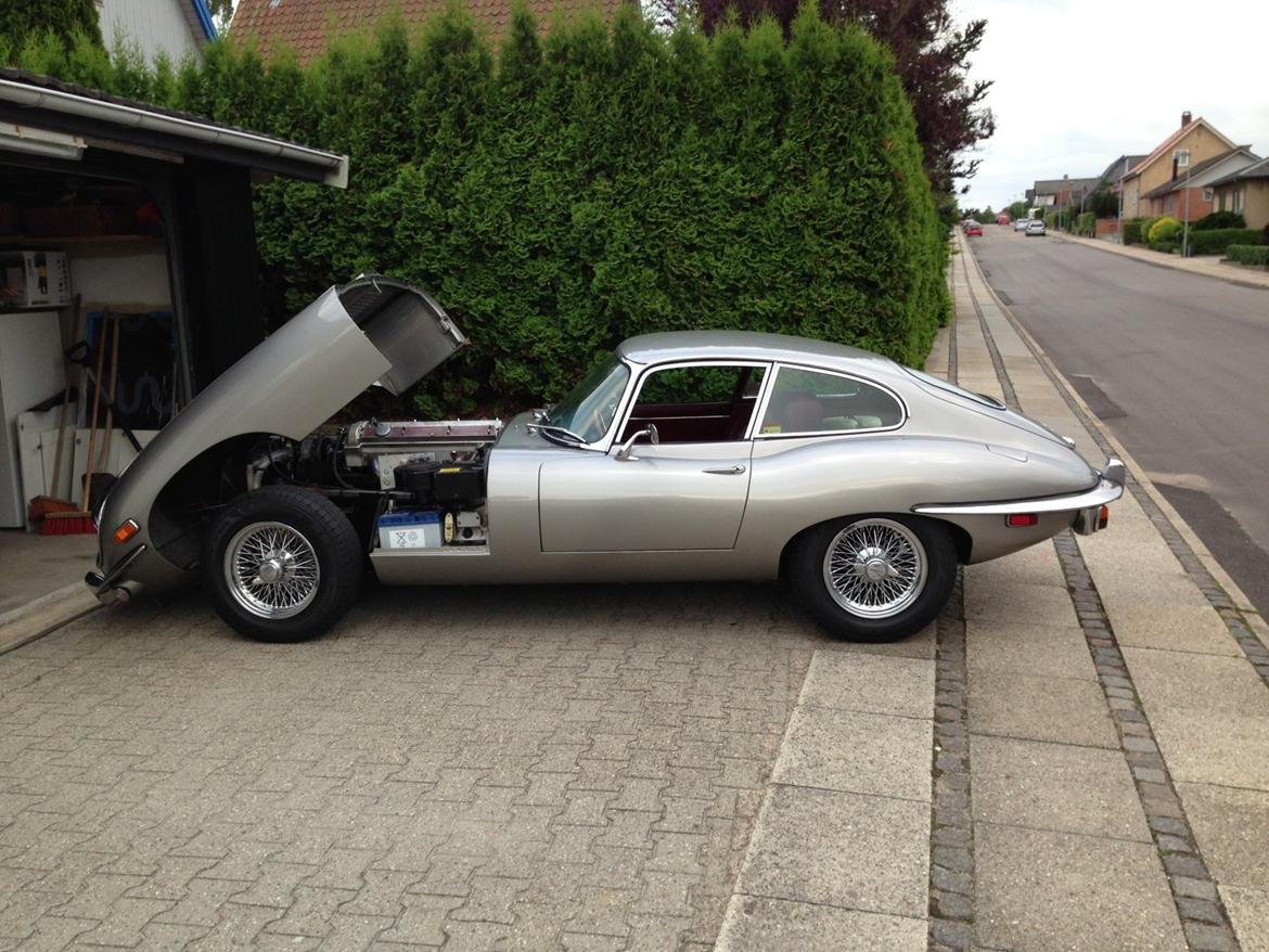 Jaguar E-Type Serie 2 FHC billede 16