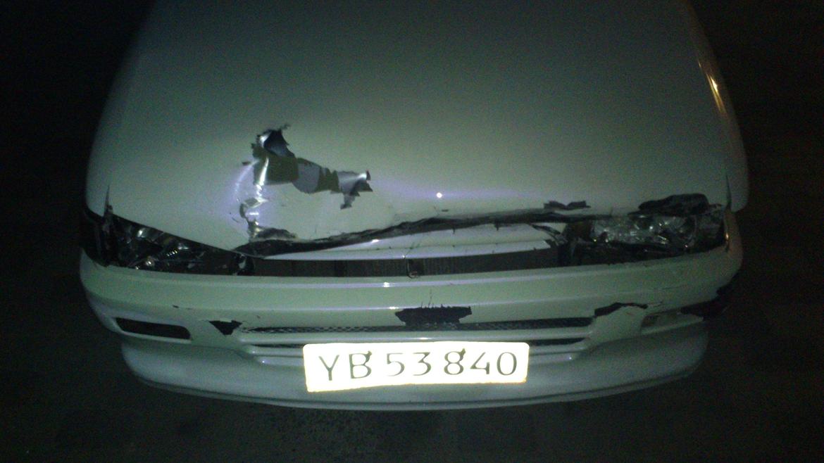 Toyota Corolla E9 1300 12v - Efter rådyr ;-( billede 3