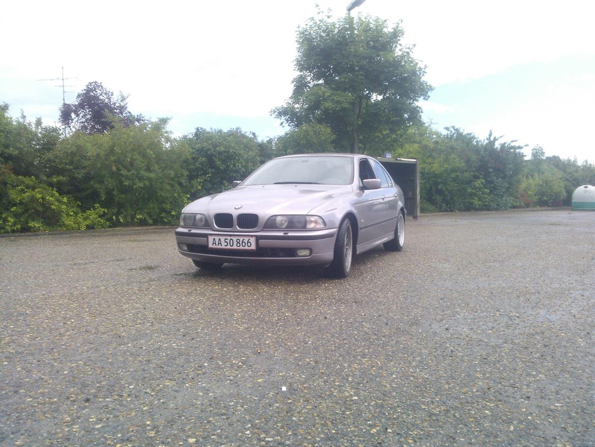 BMW 523i E39 billede 2