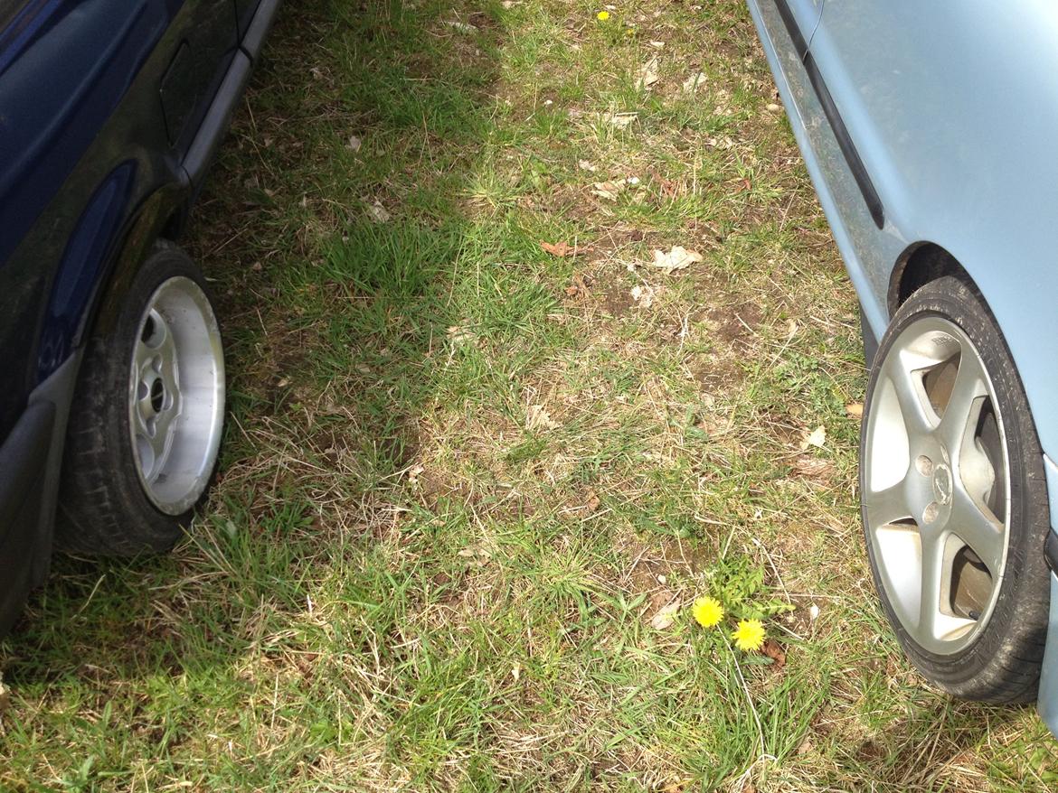 VW polo coupe 86c solgt - sammen med min kammerats bravo  billede 9