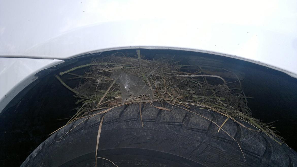 Toyota Avensis SportsVan - Måske skal bilen bare sælges. For når det her kan ske, så er det sgu for sjældent man bruger den :-) billede 12