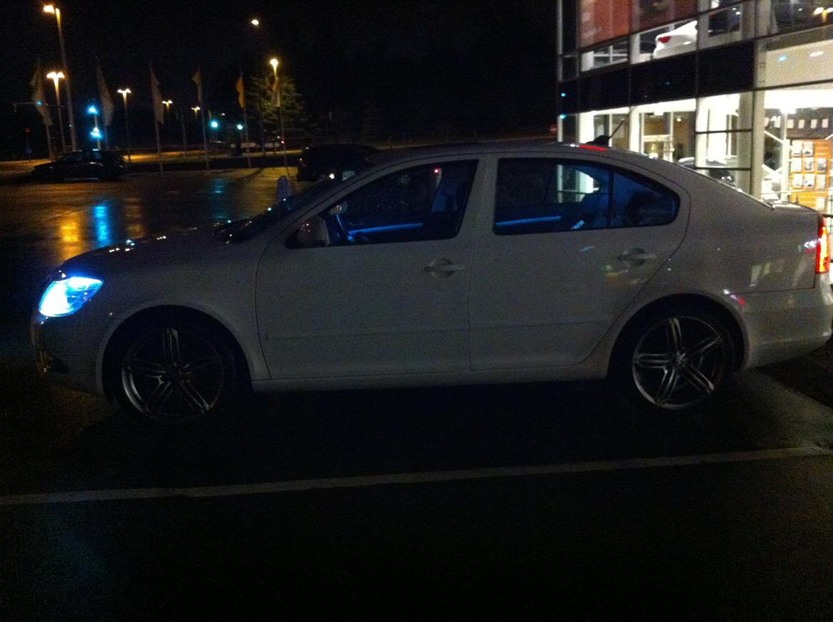 Skoda Octavia 2.0 TDI Ambiente  (SOLGT) billede 7