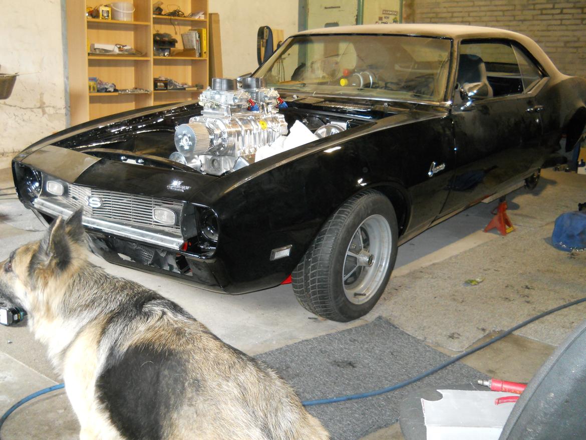 Chevrolet Camaro ss billede 1