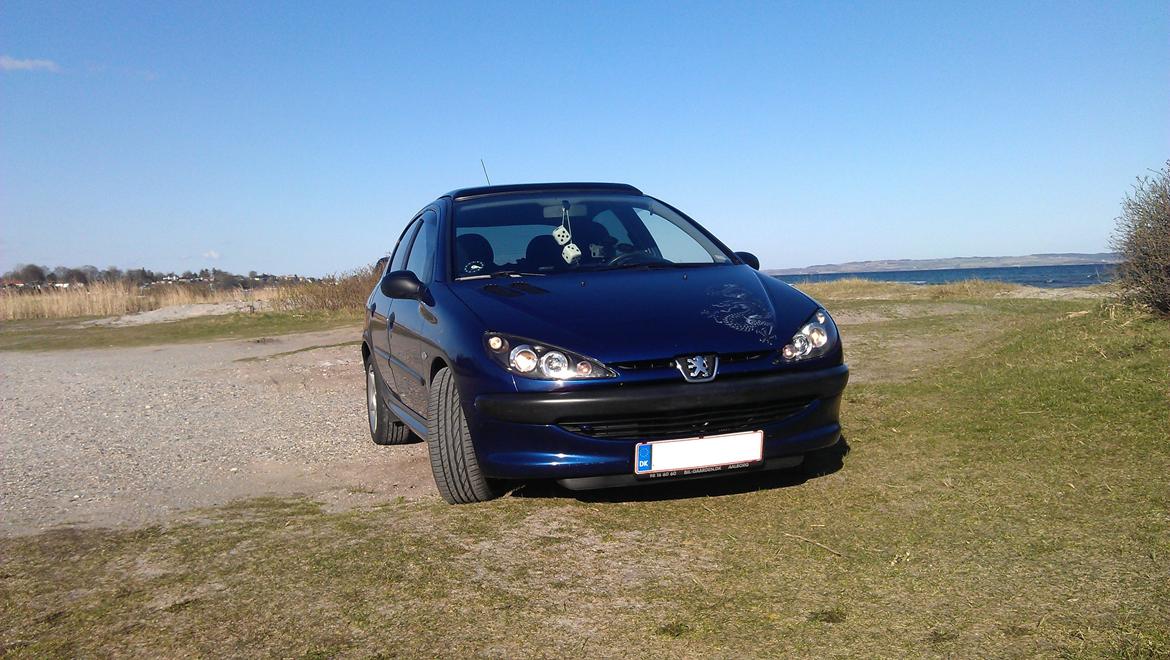 Peugeot 206 XR 1,6 *The car with the dragon tattoo" billede 7