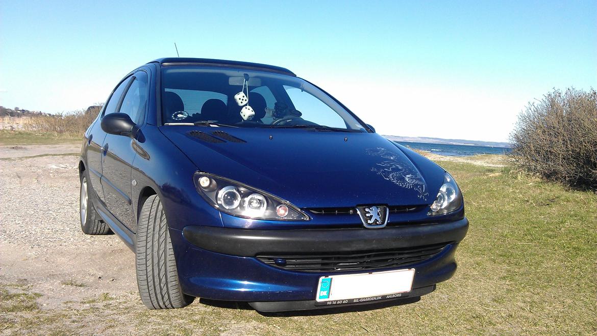 Peugeot 206 XR 1,6 *The car with the dragon tattoo" billede 8