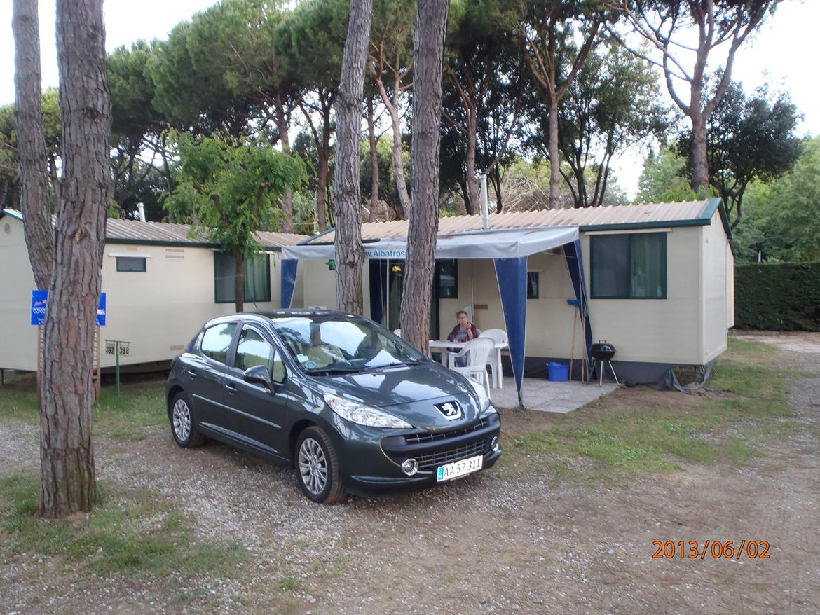 Peugeot 207 billede 2