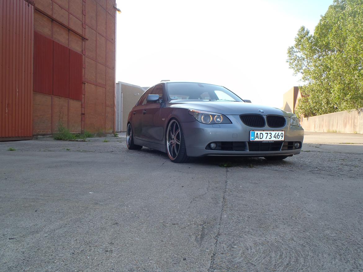 BMW 530d e60 billede 6