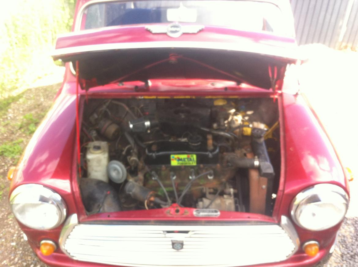 Mini Mascot 850 billede 3