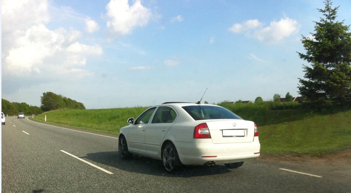 Skoda Octavia 2.0 TDI Ambiente  (SOLGT) billede 21