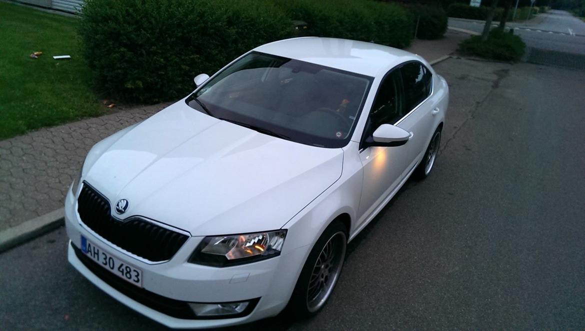 Skoda Octavia 1.6 TDI CR Elegance billede 2