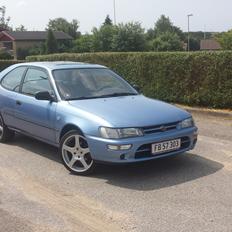 Toyota Corolla - Champ