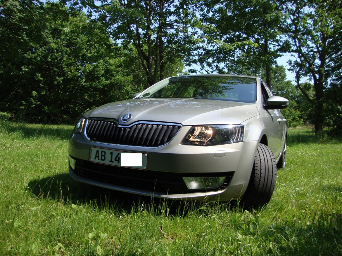 Skoda Octavia Elegance *SOLGT* billede 8