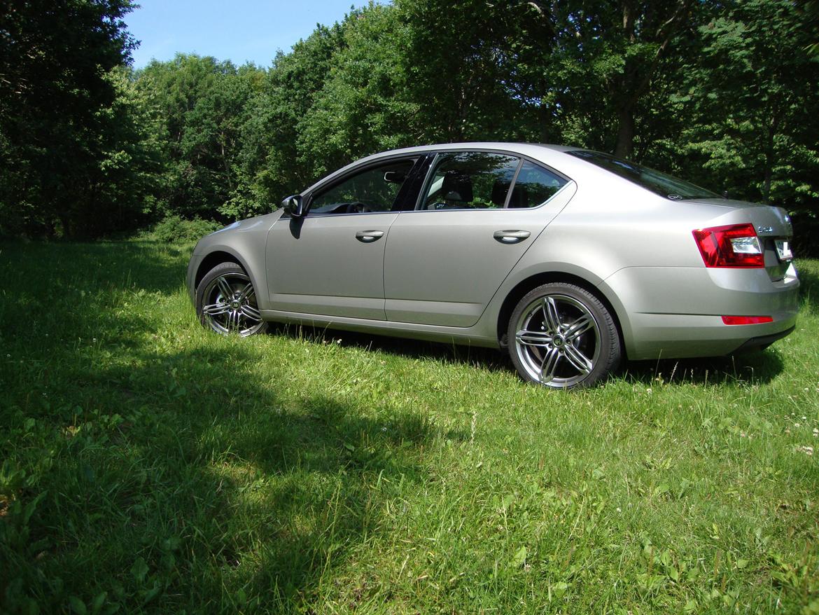 Skoda Octavia Elegance *SOLGT* billede 10