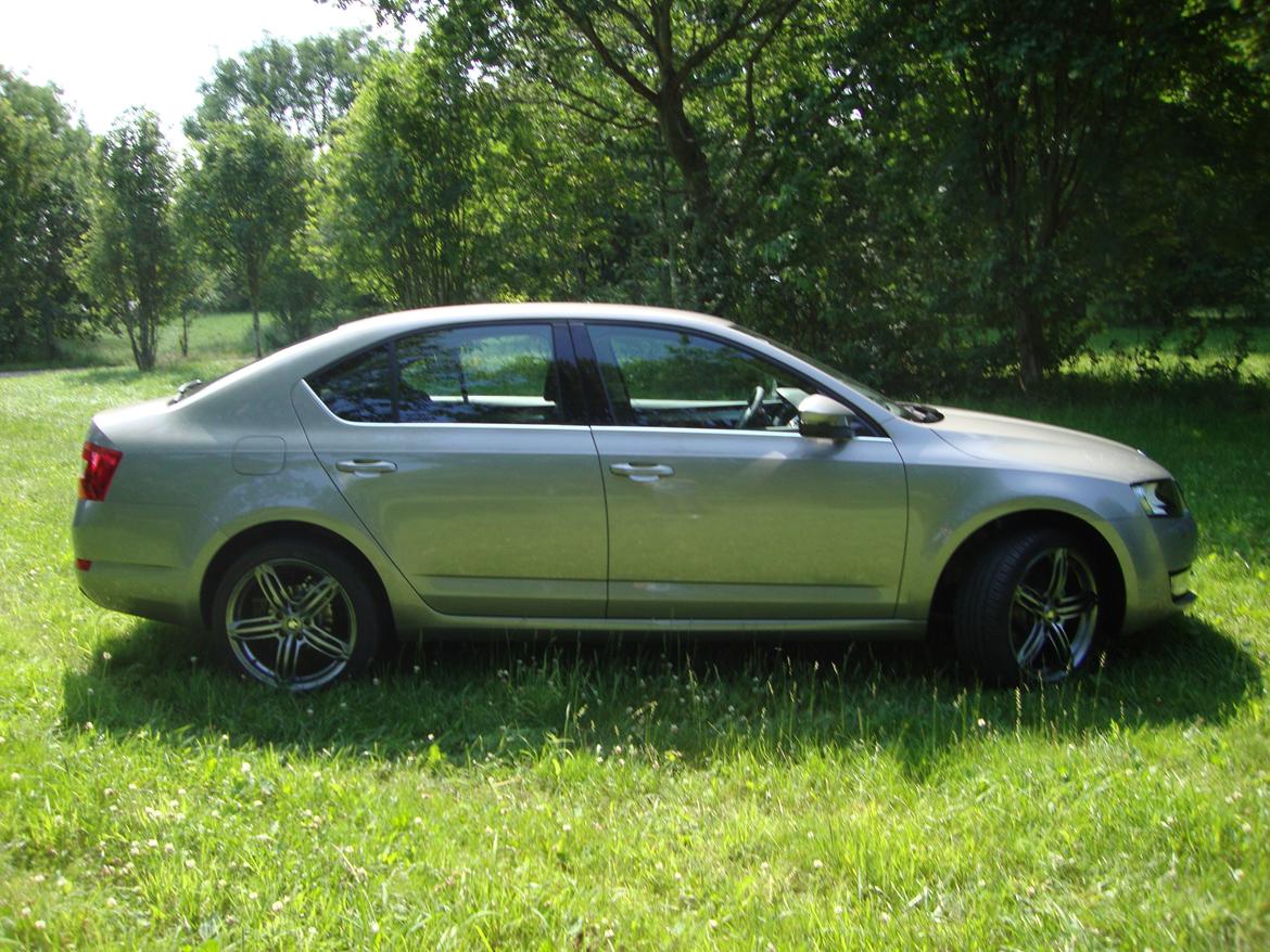 Skoda Octavia Elegance *SOLGT* billede 12