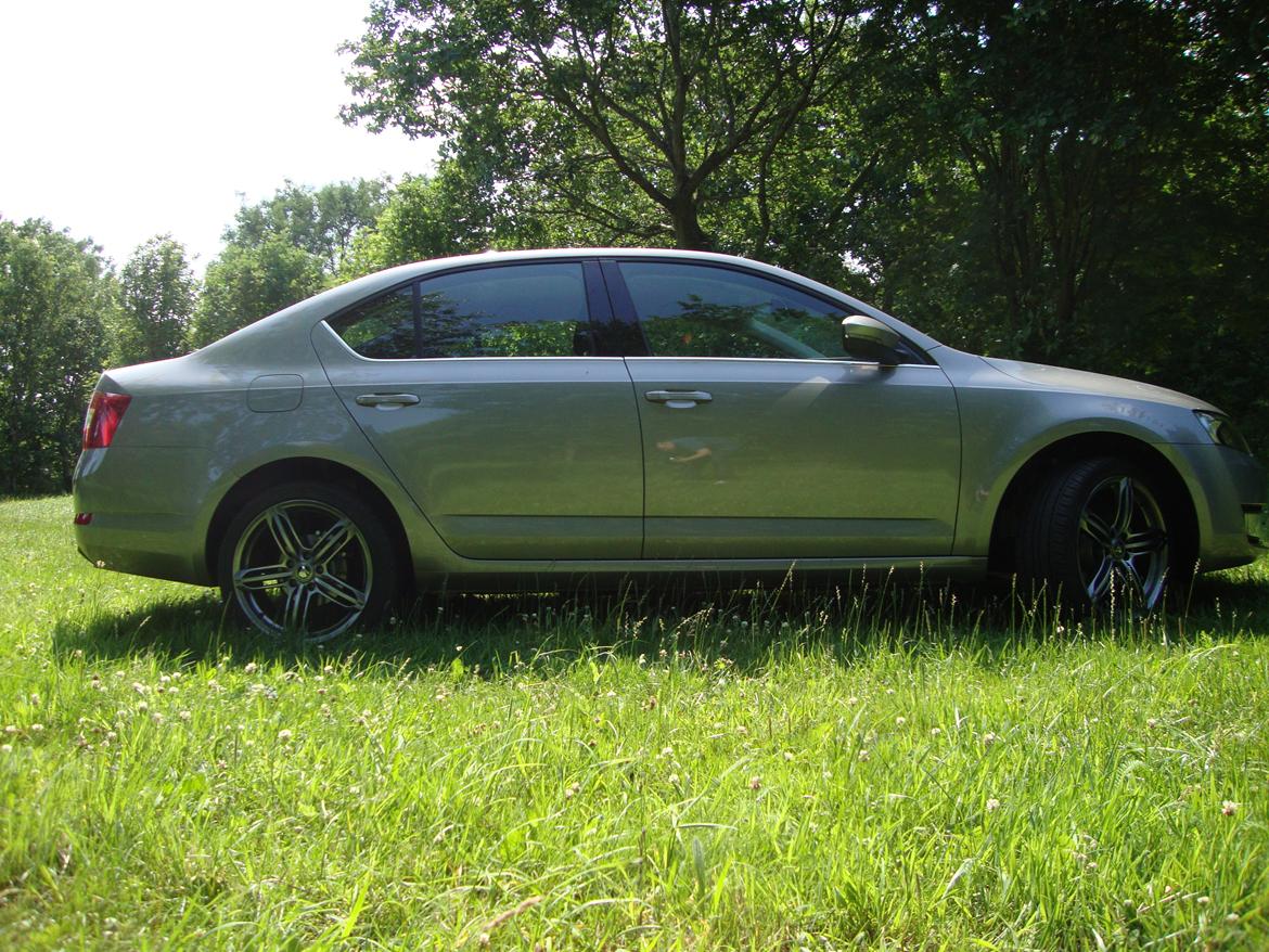 Skoda Octavia Elegance *SOLGT* billede 13