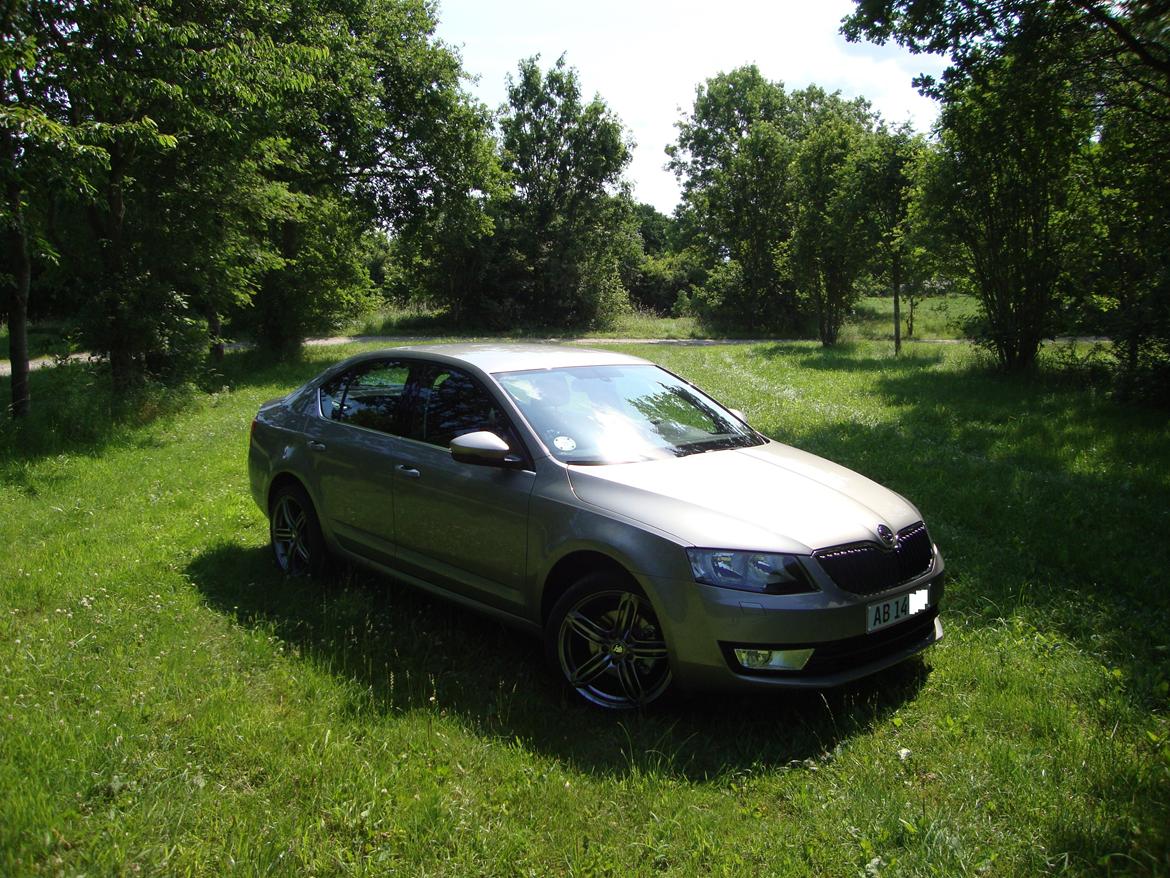 Skoda Octavia Elegance *SOLGT* billede 14