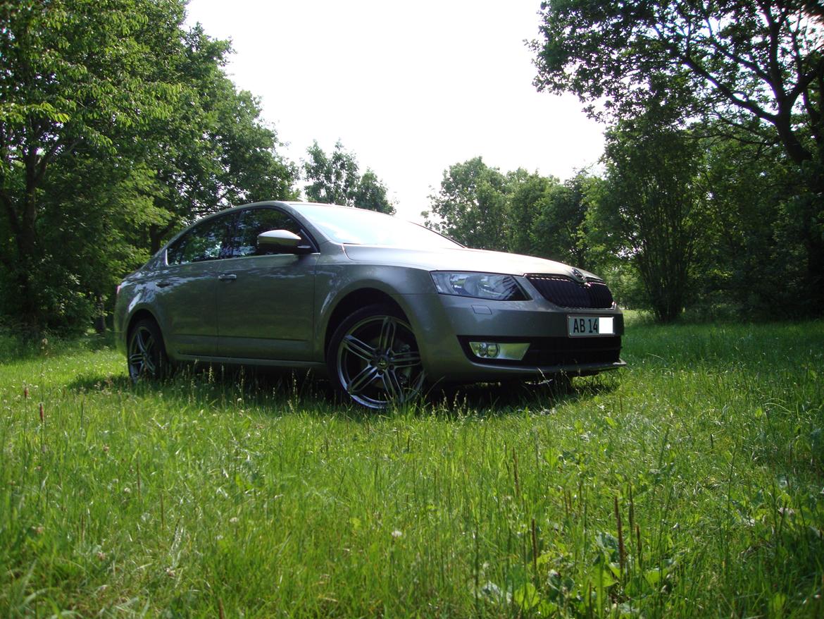 Skoda Octavia Elegance *SOLGT* billede 2