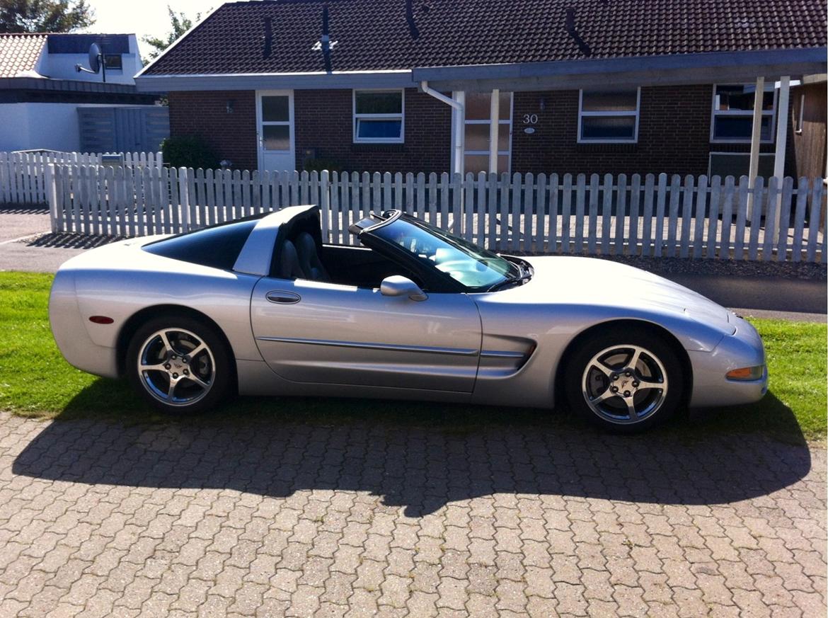 Chevrolet Corvette C5 Targa 50th Anniversary Edition billede 2