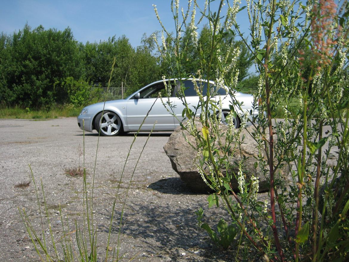 VW PASSAT 1.8T billede 5