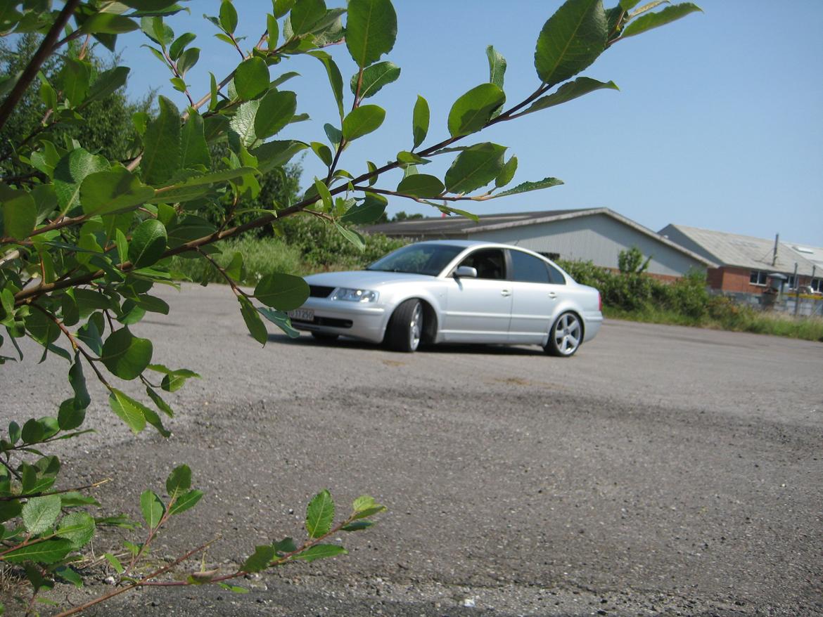 VW PASSAT 1.8T billede 6