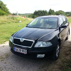 Skoda Octavia 4x4 1,9 TDI Combi
