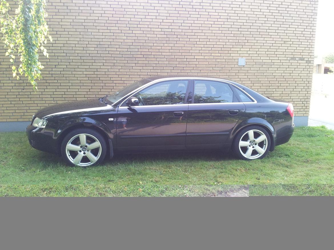 Audi A4 B6 billede 3
